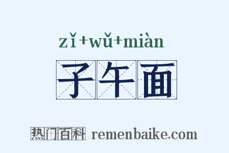子午面是什么意思的图片